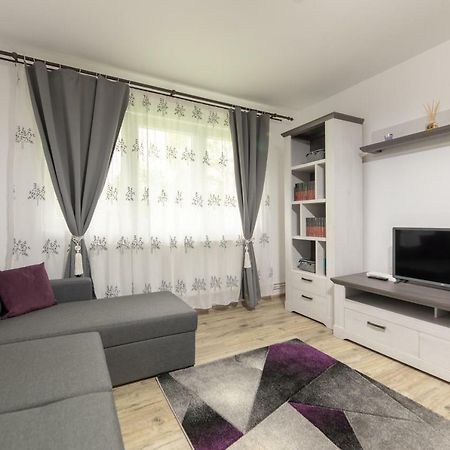 Апартаменты Apartament Ada Сибиу Экстерьер фото
